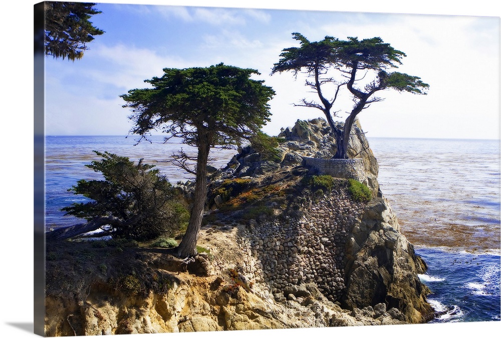 Photograph of a solitary tree atop a cliff overlooking the water in California.