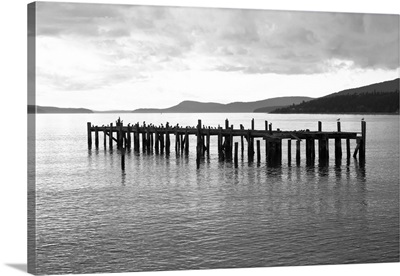 Lonely Dock BW