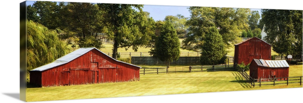 Panoramic photograph of three red barns in Louisa County, Virginia.