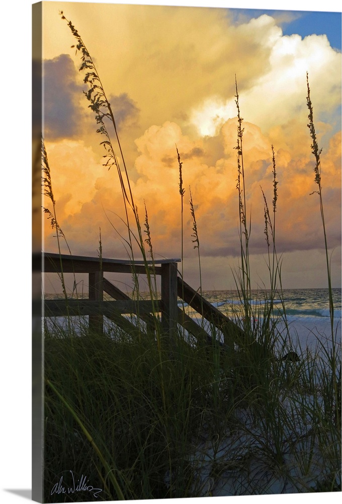 Coastal photograph with a silhouette of wooden stairs leading to the beach with tall sea oats in the foreground and a beau...