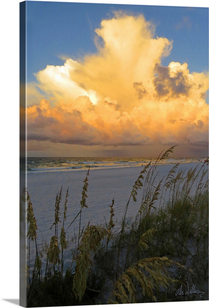 Coastal photograph with sea oats blowing in the wind and big, fluffy clouds at sunset.