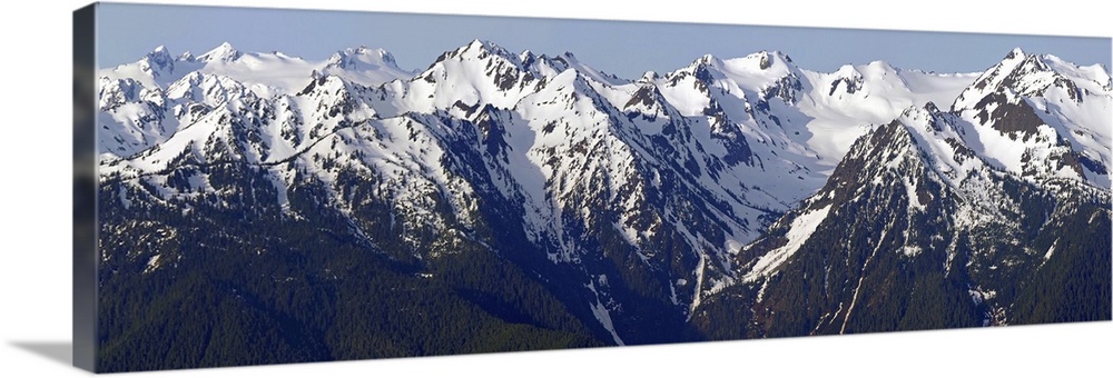 Panoramic photograph of snow capped Hurricane Ridge, Olympic Mountains, Washington.