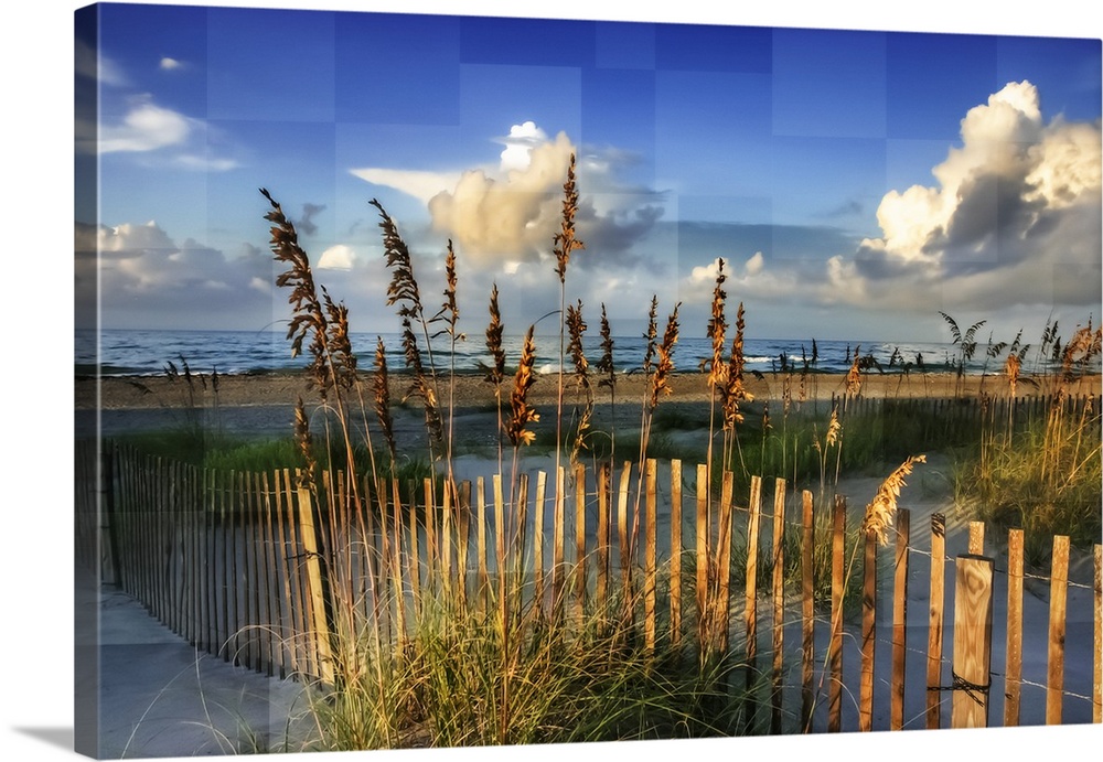 Reeds along a fence on the beach, with square shapes in the sky.