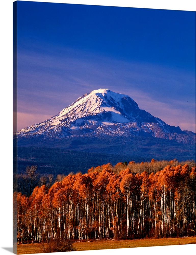 The snow-covered peak of Mount Adams in the fall.