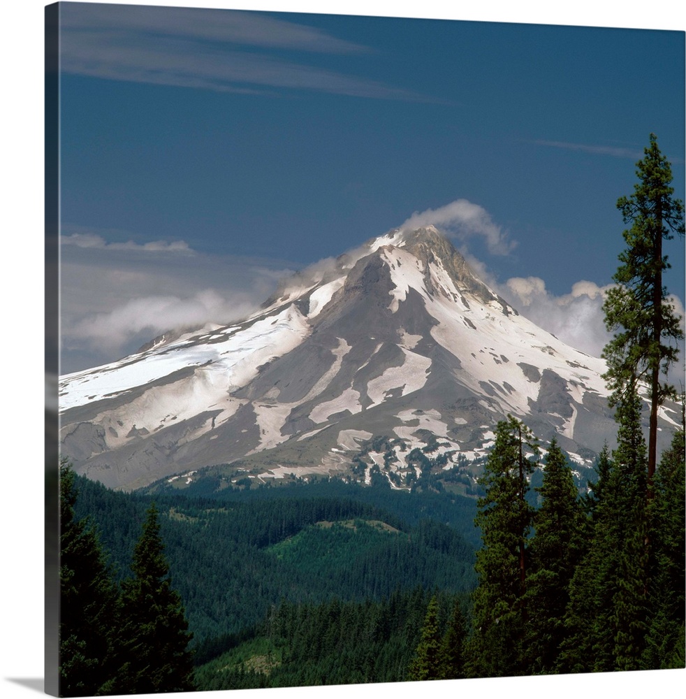 Square photograph of Mount Hood with rolling hills and pine trees in the foreground.