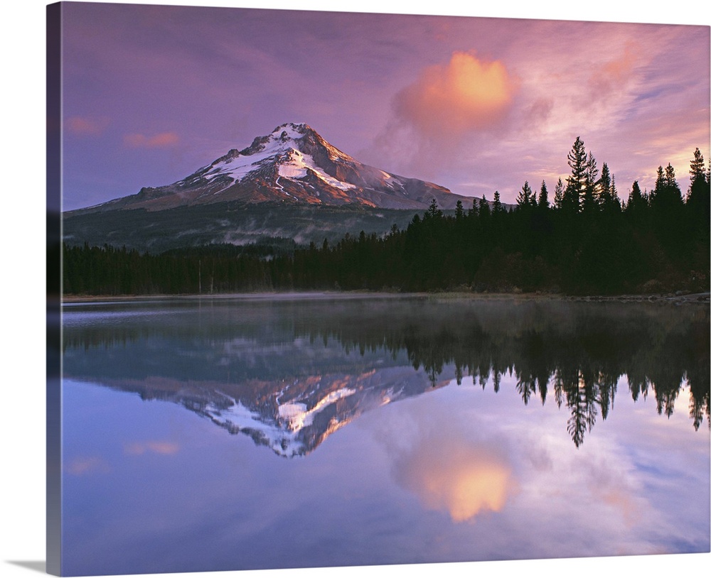 Mount Hood and the surrounding forests reflected in a lake, Oregon.