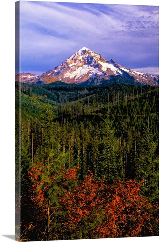 Mt. Hood IV | Great Big Canvas