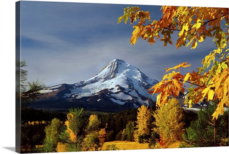 Mt. Hood Parkdale Great Big Canvas
