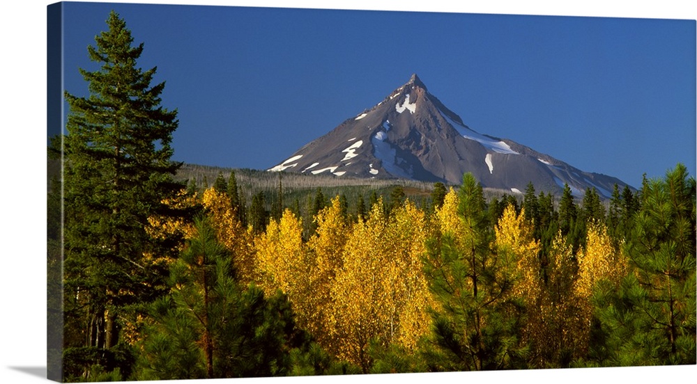 Landscape photograph with Autumn trees in the foreground and a snowy Mount Jefferson in the background.
