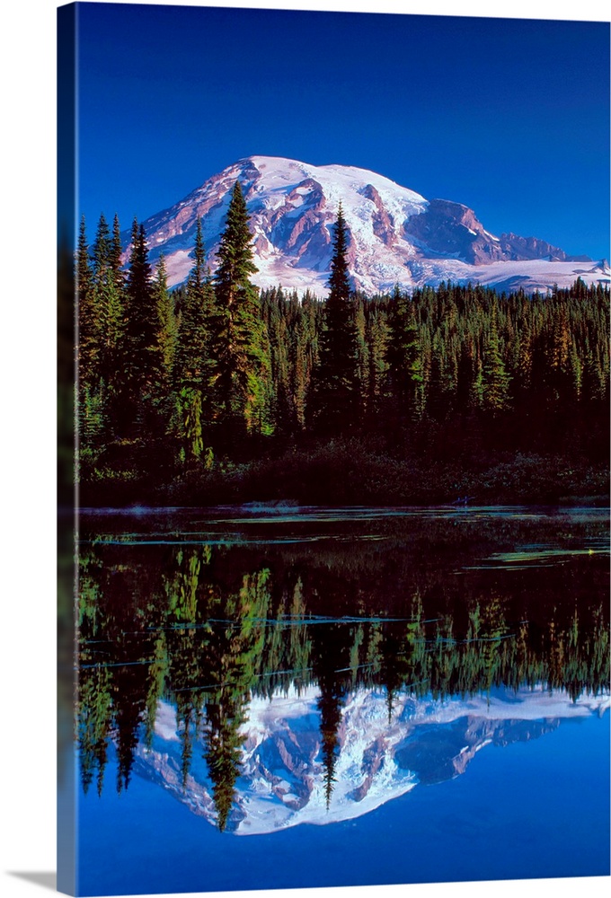 Mount Rainier and a pine forest reflected in a lake.