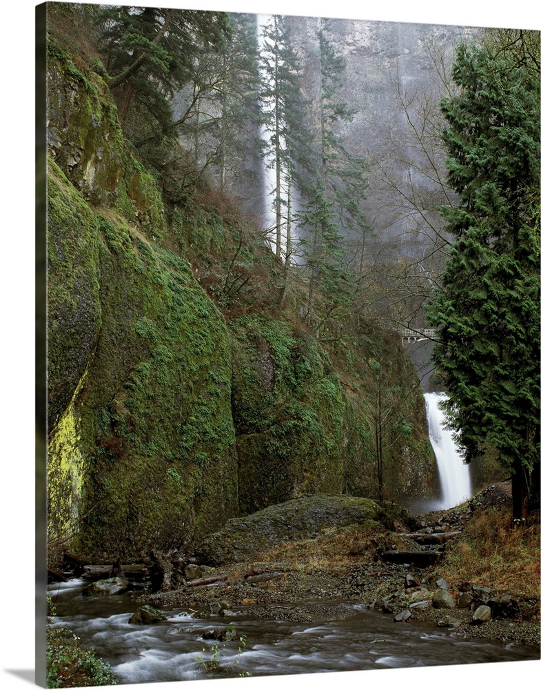 Landscape photograph of the Multnomah Falls from a creek side view.