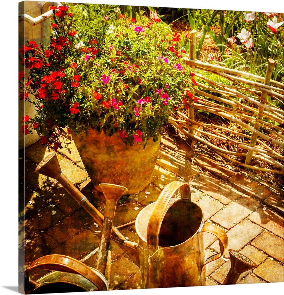 Square photograph of potted flowers and rustic watering cans lit with golden sunlight.