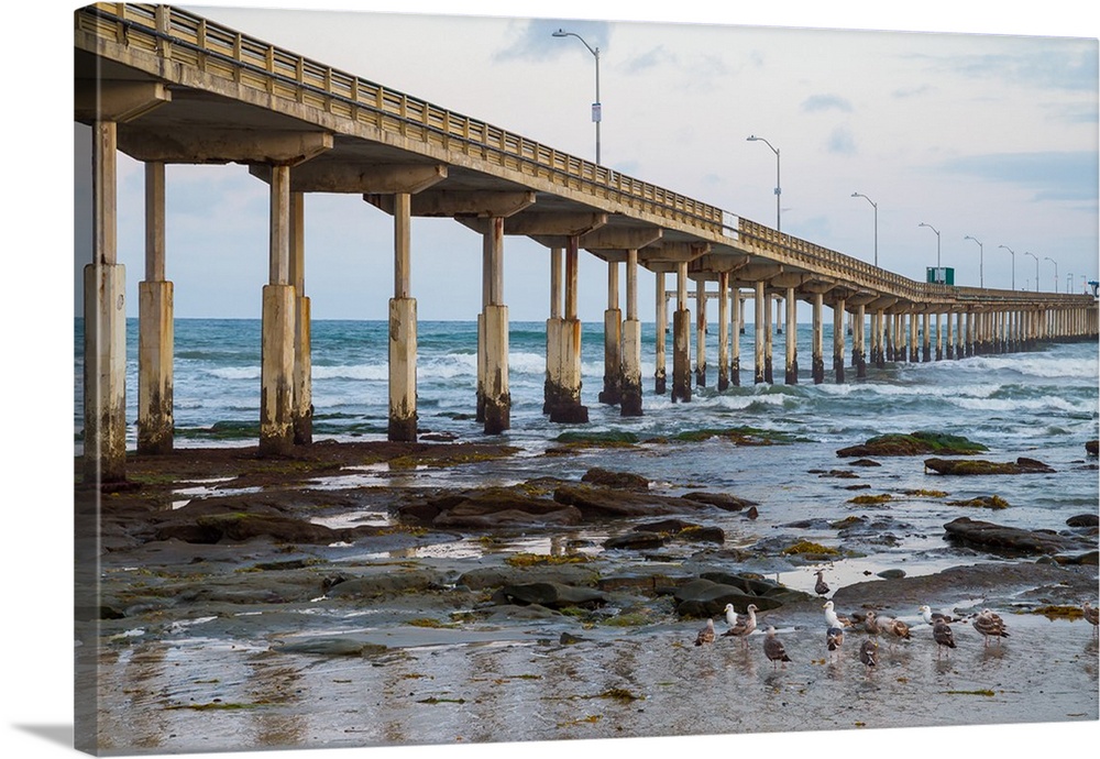 Photograph of low tide reef and Ocean Beach Pier with sea gulls, California.