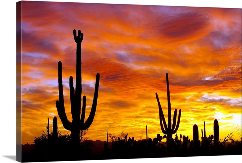 October Sunset | Great Big Canvas