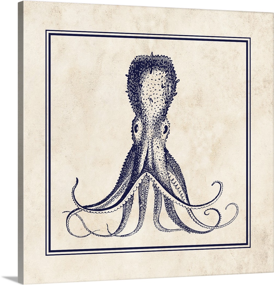 Square illustration of a detailed octopus in navy blue and cream.