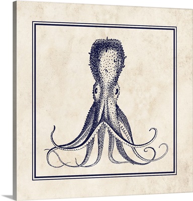 Octopus Sq