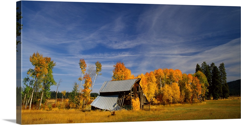 Photograph of a barn with a tin roof falling apart surrounded by Autumn trees.