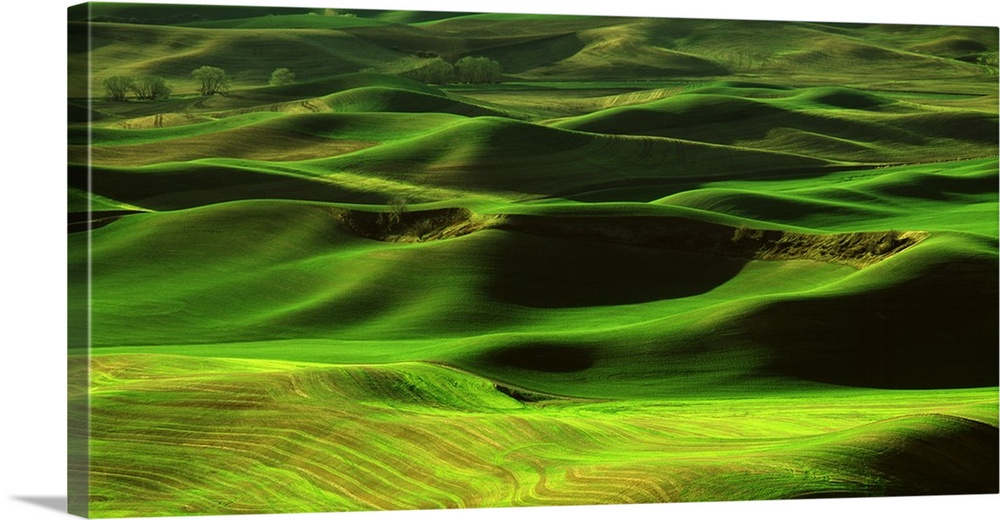 Landscape photograph of green rolling hills in Washington.