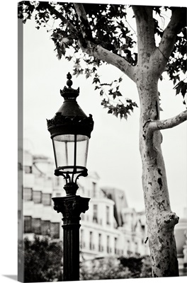 Parisian Lightposts BW II