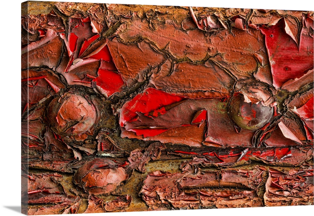 Peeling paint - Revelstoke Railway Museum - Canada, British Columbia, Revelstoke.