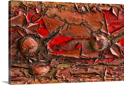 Peeling Paint