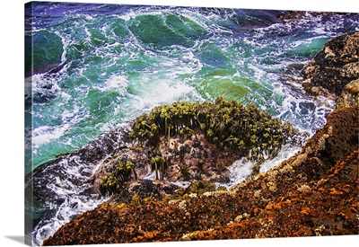 Point Lobos Coastline
