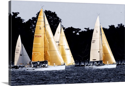Race at Annapolis 5