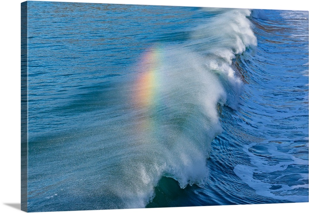 Rainbow Wave II Wall Art, Canvas Prints, Framed Prints, Wall Peels ...