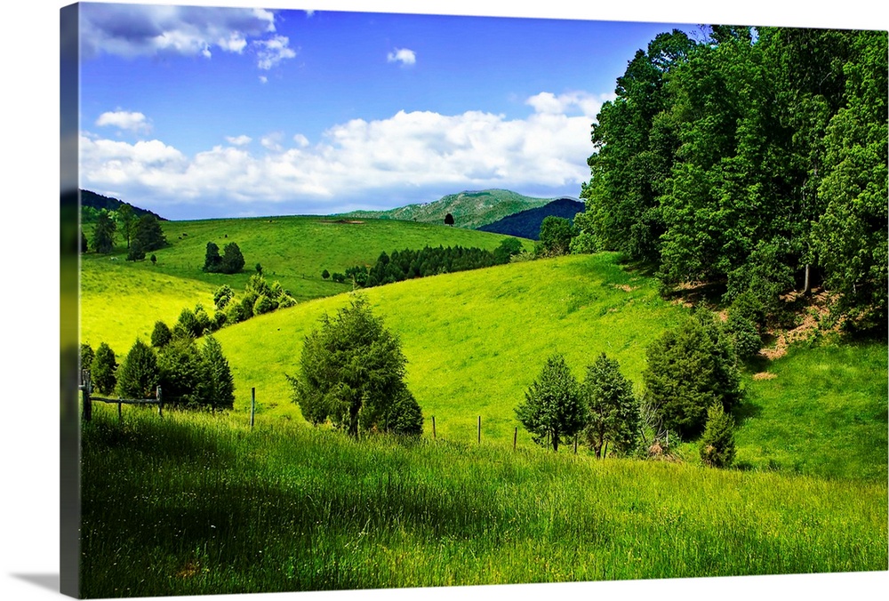 Verdant hills in the countryside under a bright blue sky.