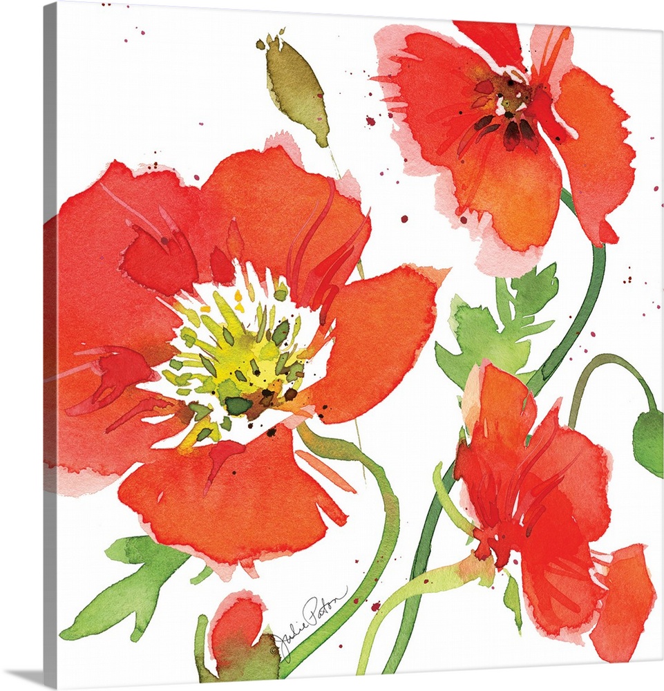 Square watercolor painting of red poppies on a white background with a little bit of red paint splatter.