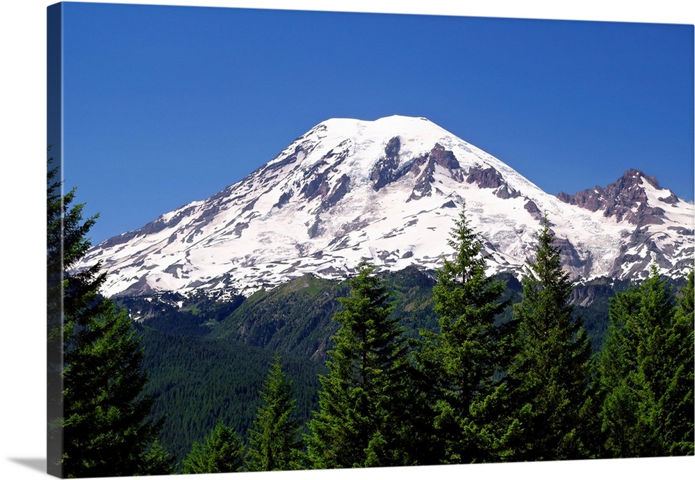 Landscape photograph of Mount Rainier's snowy mountain top with green trees in the foreground.