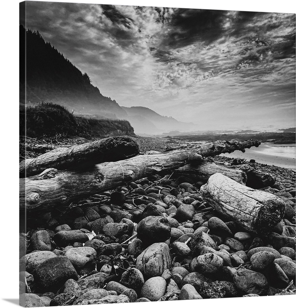 Rocky Shoreline I BW