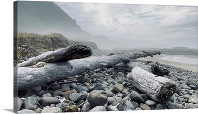Rocky Shoreline II