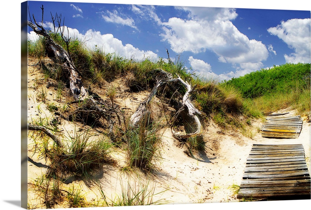 Wooden walkway through a sandy beach with dune grass.