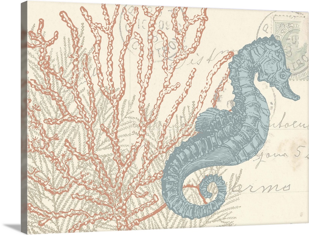 Beach themed illustration of a blue seahorse and coral on a cream colored postcard with handwriting.
