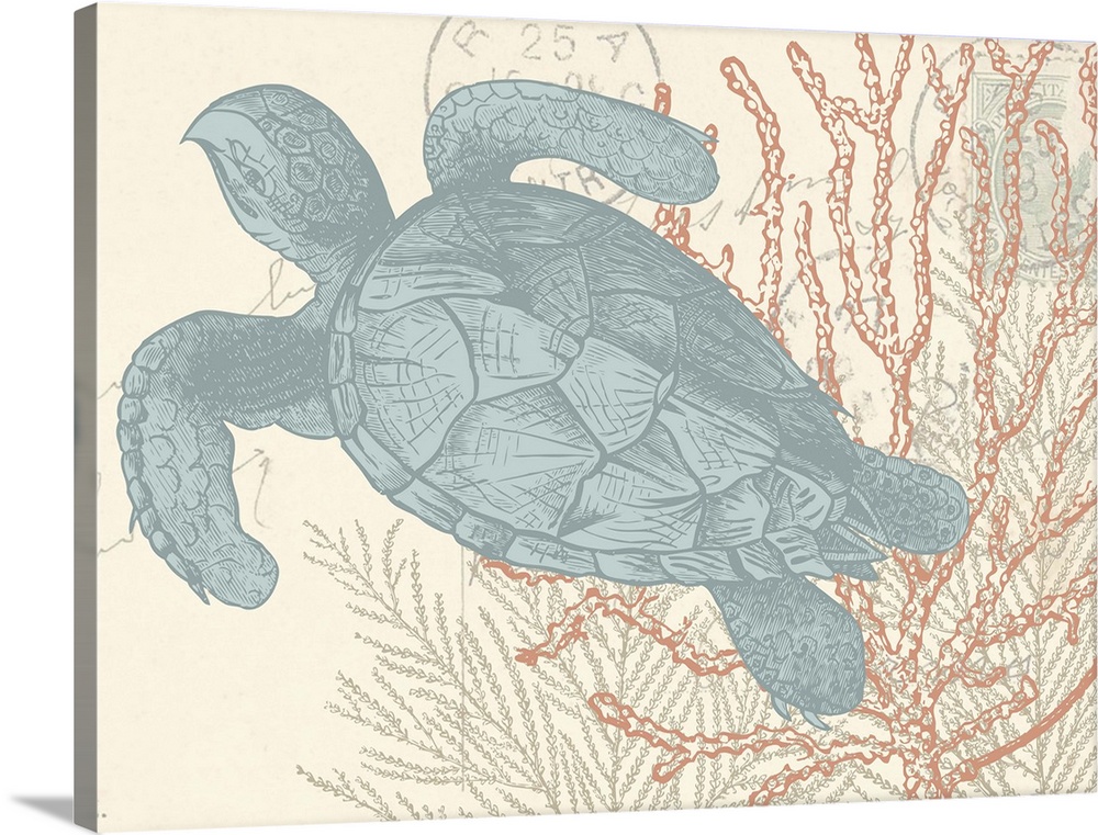 Beach themed illustration of a blue sea turtle and coral on a cream colored postcard with handwriting.