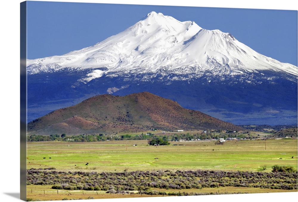 Landscape photograph of rural fields with a snow covered Mount Shasta in the background.
