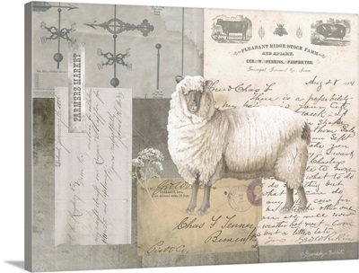 Sheep On Ephemera II