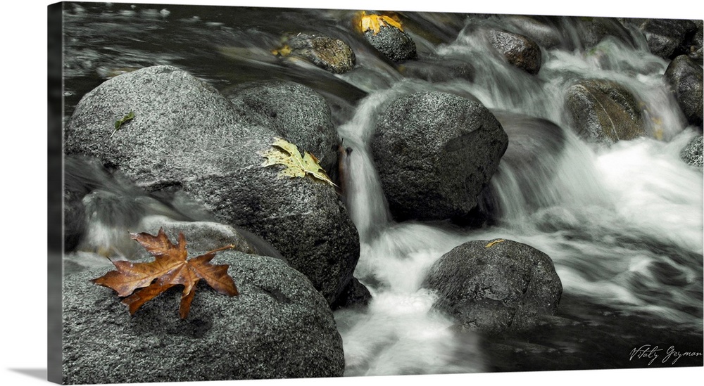 This is a landscape photograph of water rushing over rocks with autumn leaves resting on them.