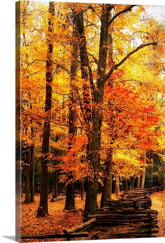 Split Rail Fence I | Great Big Canvas