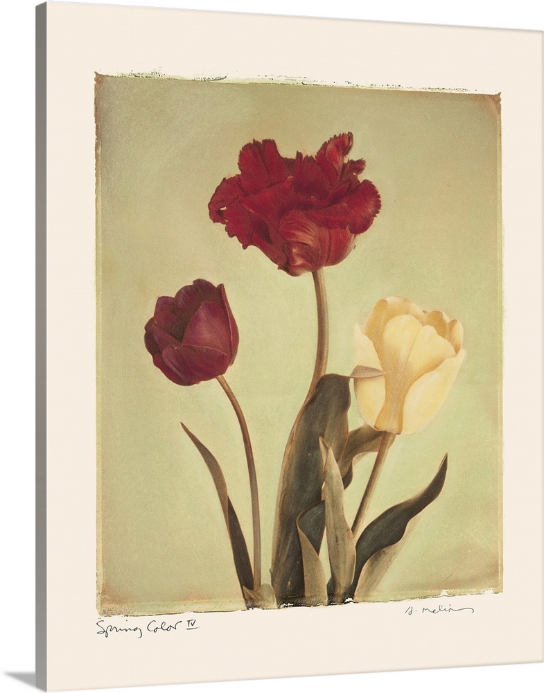 Three different colored flowers are painted against a soft background with a thick border surrounding it.
