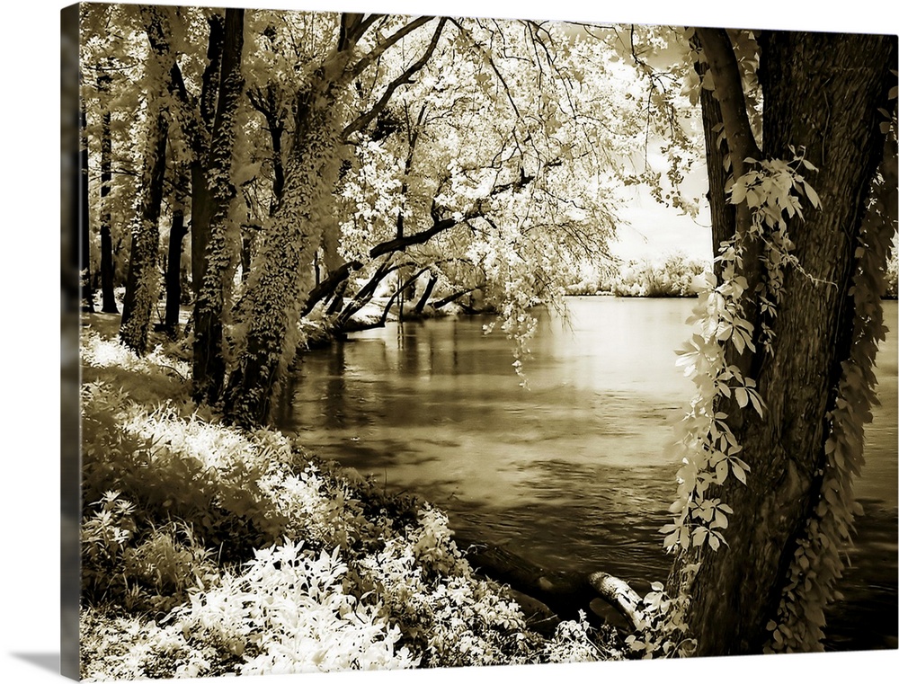 Spring on the River 3