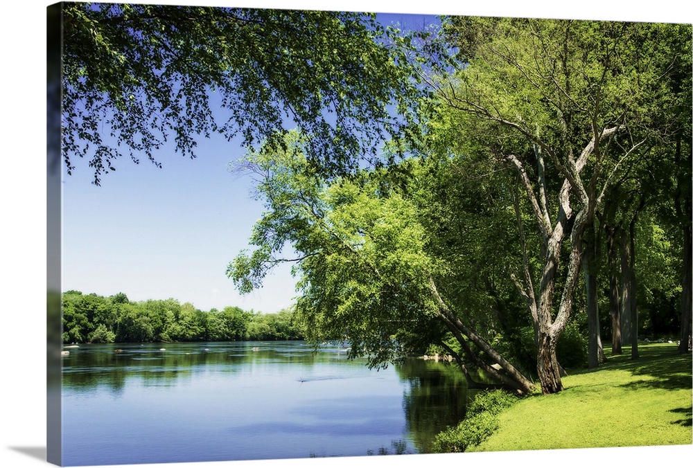Verdant trees at the edge of a blue river on a sunny day.