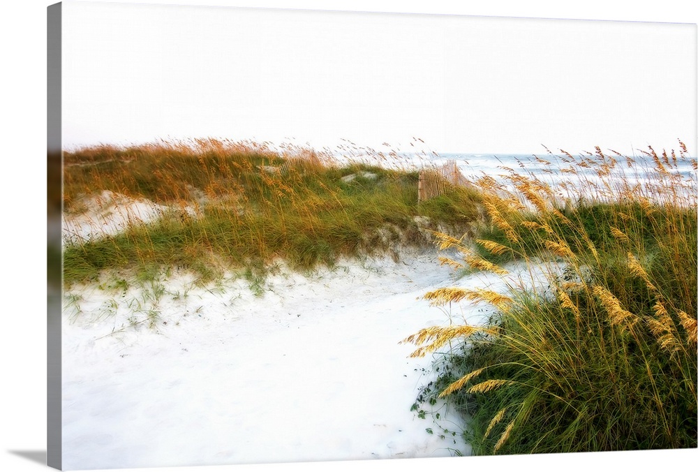 This landscape photograph of a sandy beach and sea grass blowing in the wind that has been edited to have a soft focus and...