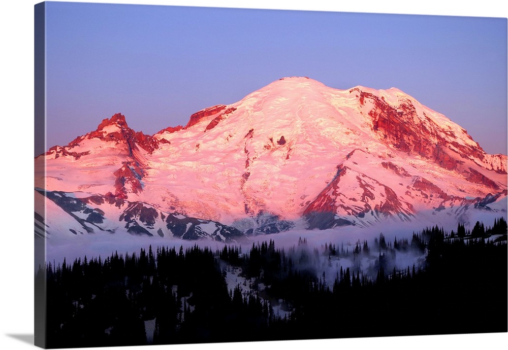Photograph of Mount Rainier at sunrise with the pink sky reflecting onto the snowy peaks.
