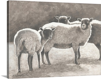 Three Heirloom Sheep