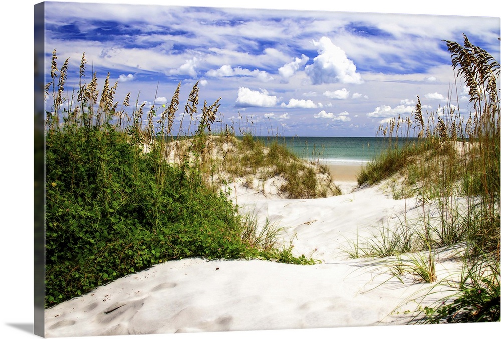 Landscape photograph of a sandy beach shore lined with sea oats and a beautiful cloudy sky.