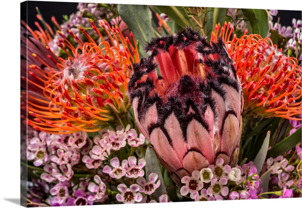 Close-up of photograph of a bouquet of tropical flowers.