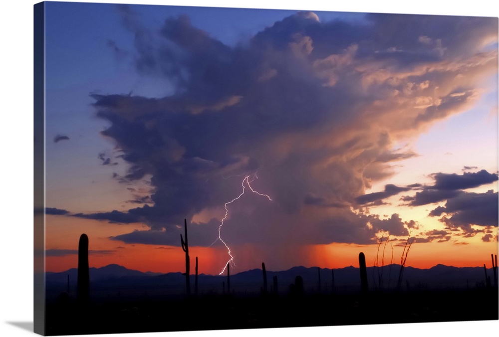 Landscape photograph of a desert with silhouetted cacti at sunset, a storm in the distance, and lightning striking in the ...