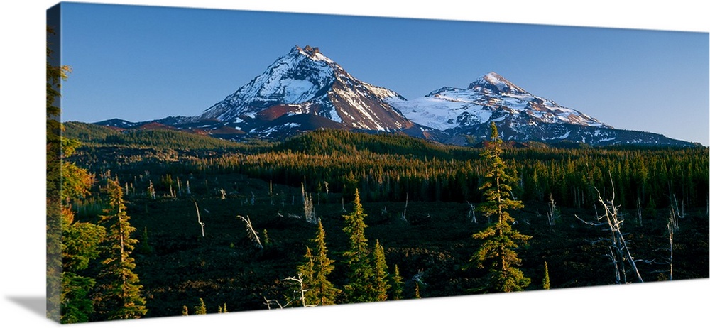 Landscape photograph with two snow capped mountain peaks in the background and tree covered hills in the foreground.